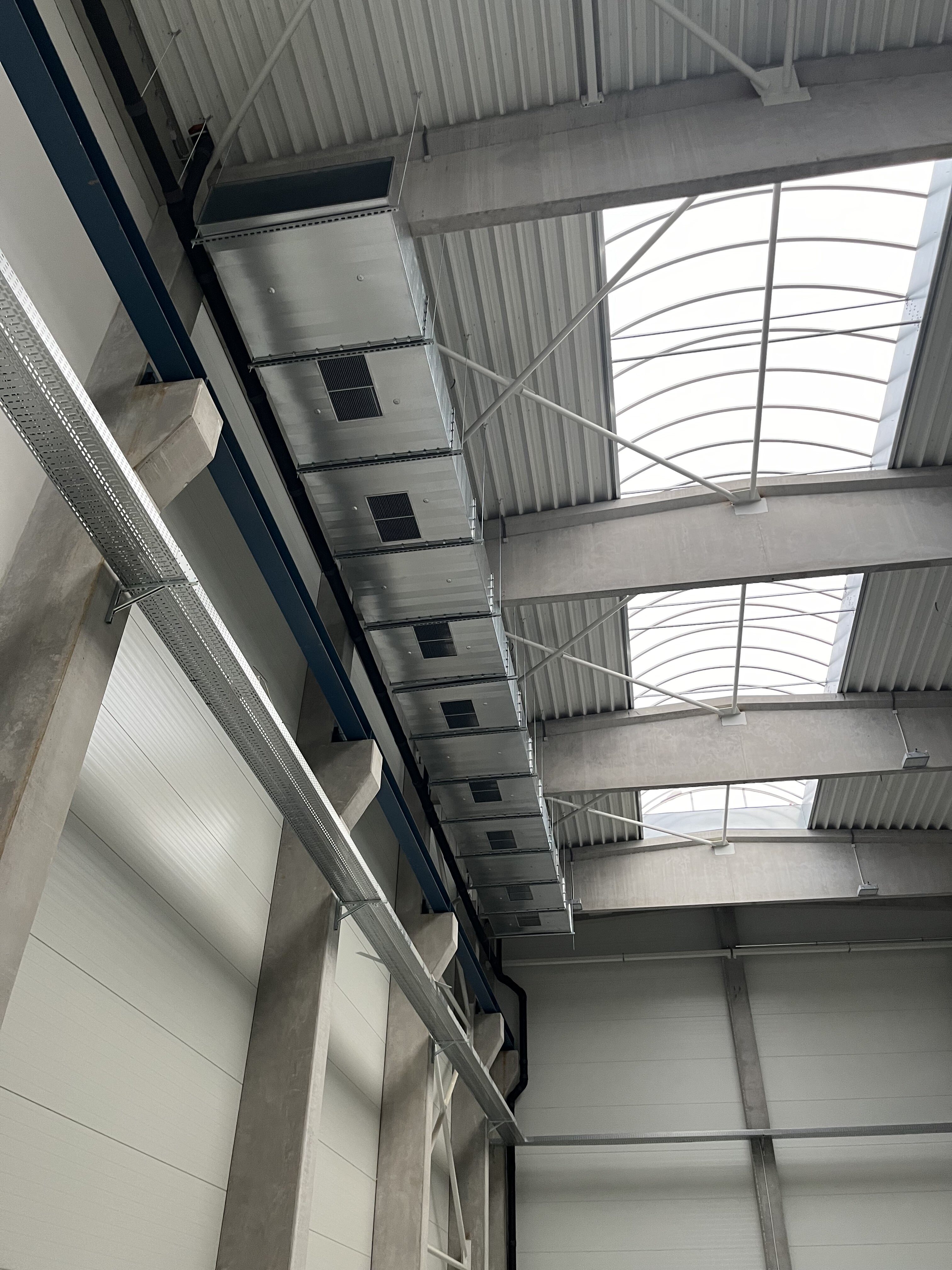 20241030_064656933_iOS